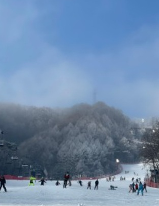고객이 직접 올린 강습 후기 사진